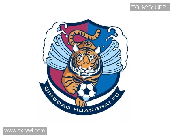 青海球星足球队完整阵容及球员详细资料一览